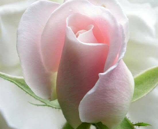 Η απώλεια ως δάσκαλος. Πώς να ανακαλύψουμε τη δύναμή μας μέσα από τις δυσκολίες