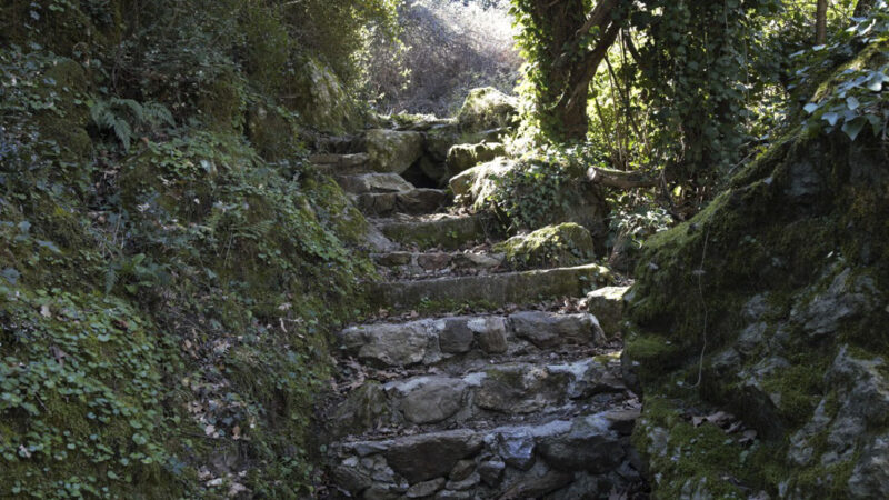 Τα αγκάθια του δρόμου