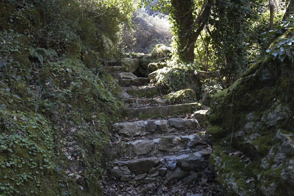 Τα αγκάθια του δρόμου