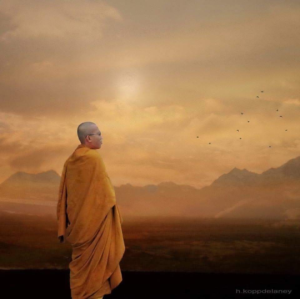 Αναζητώντας Ισορροπία και Νόημα