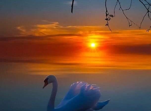 Μια Γιουνγκιανή Προσέγγιση της Αυτογνωσίας