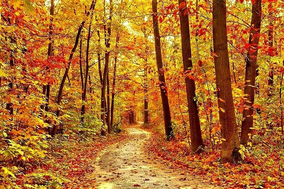 Το Ταξίδι της Μάθησης. Κάθε Βήμα, Ένα Μάθημα Ζωής